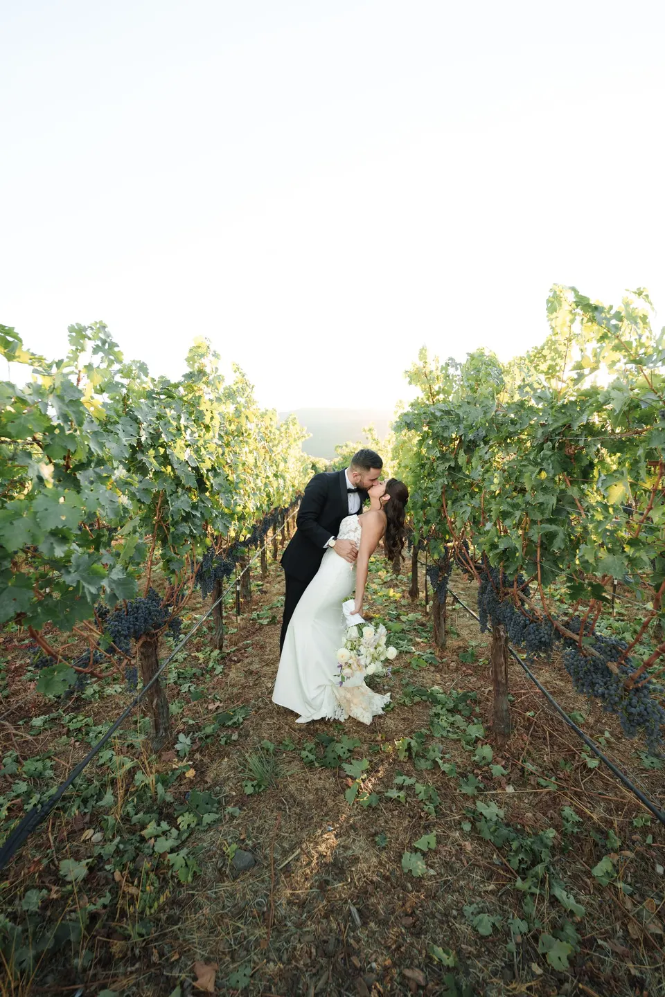Ariel & Taylor, Napa Valley, California
